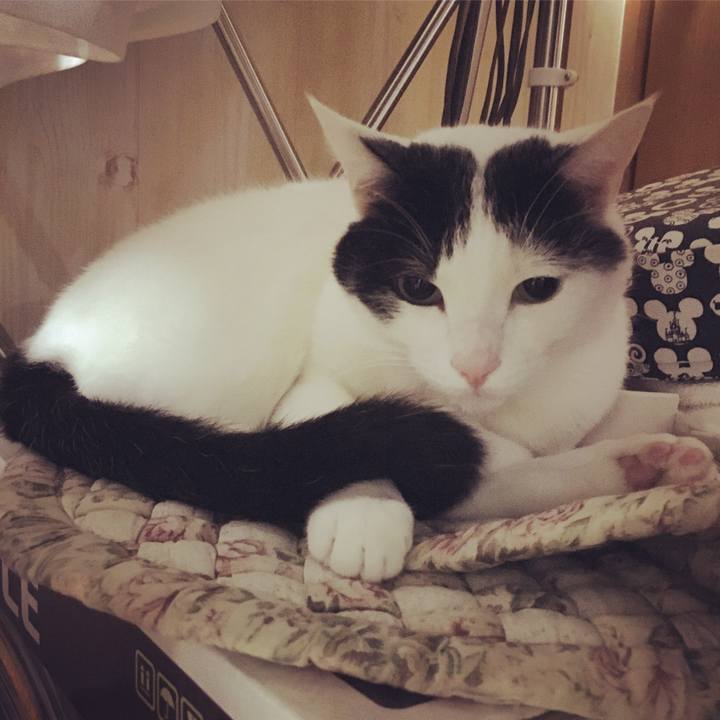 300eb001 398a 4fea ae39 e72606d6580e 1526011637616