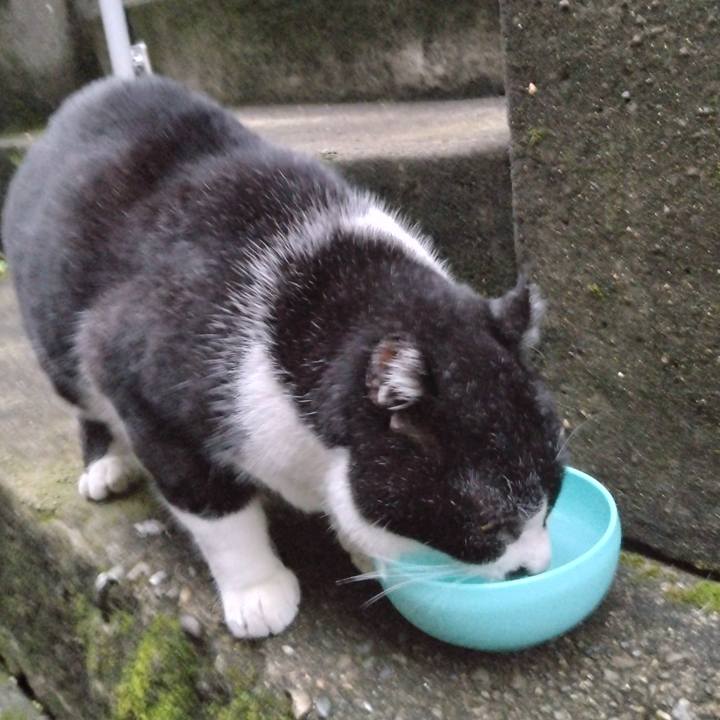 300ec15e f35f 4357 a3f9 a6554f8a0fb4 1700991031783