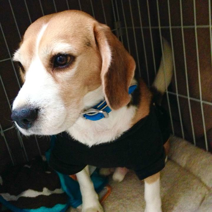 300ee5f1 2457 4d4b 8644 c4eb473ce11f 1734064280223