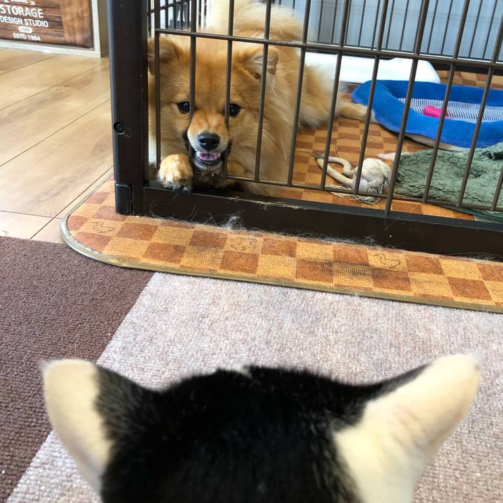 300eeb9f dc21 41a2 87d6 e487788442e0 1631496745970