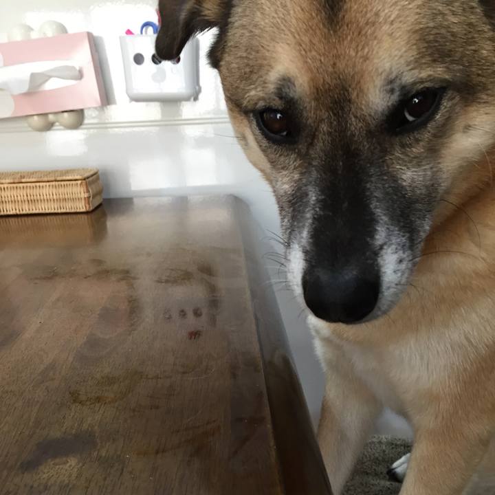 300f09d1 6941 4860 9916 abba9cbf6a18 1513334597645