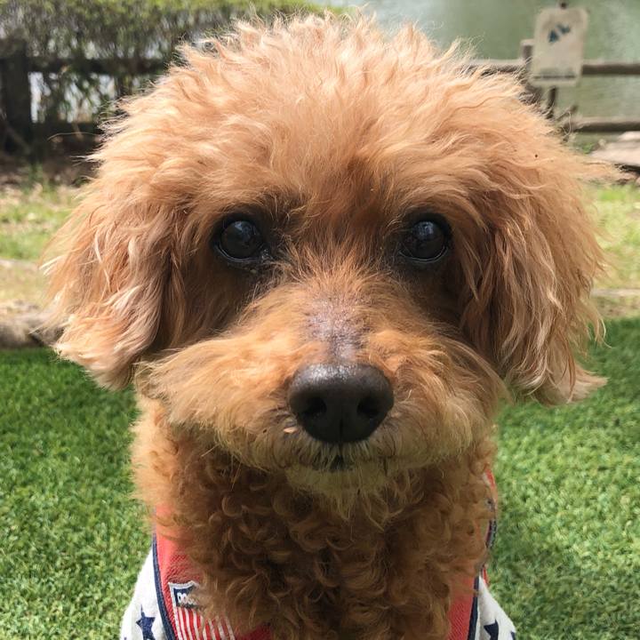 300f1998 67ee 4c32 9c2f b533a31025e9 1619336905725