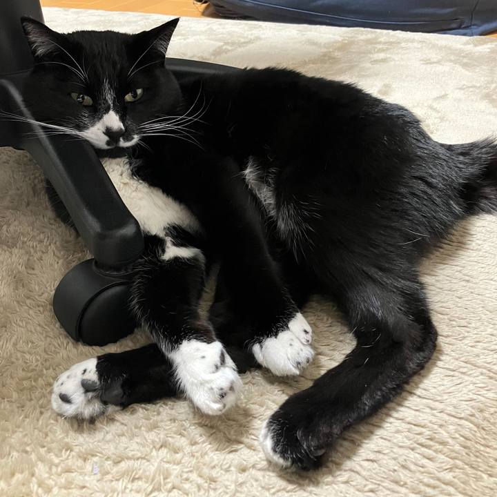 300f399b bdfc 4645 a659 331dc81be90e 1679889131246