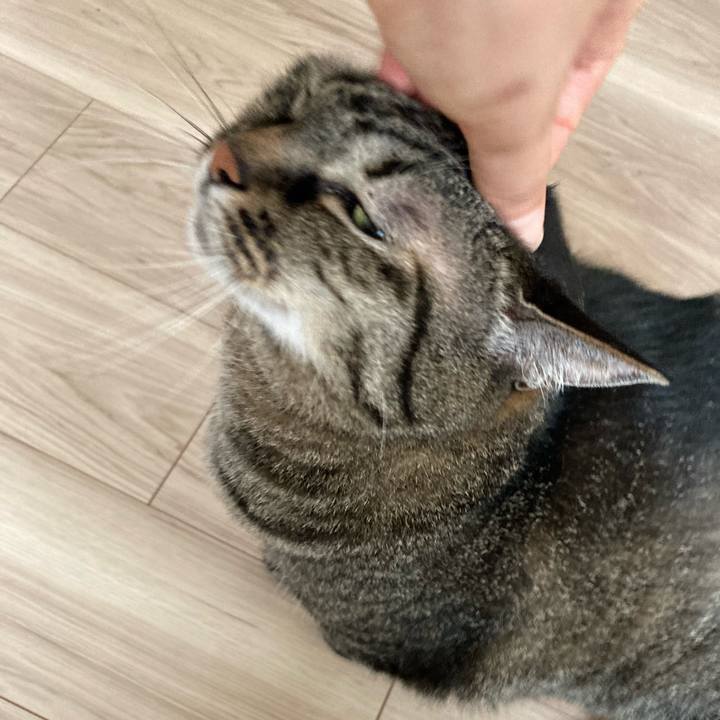 300f6078 8d82 4a13 bbe6 e722be3e8b8a 1720921344707