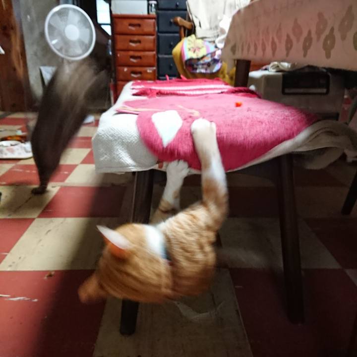 300f65ac 6101 4286 a06f bef4a3a67c53 1564949211754