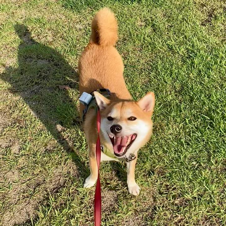 300f8dff 7f7b 4989 aa79 fda8c8330852 1661685258844