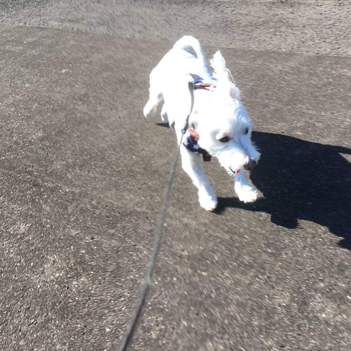 300f9642 9943 4a2b 9447 328c2538231b 1542392638859