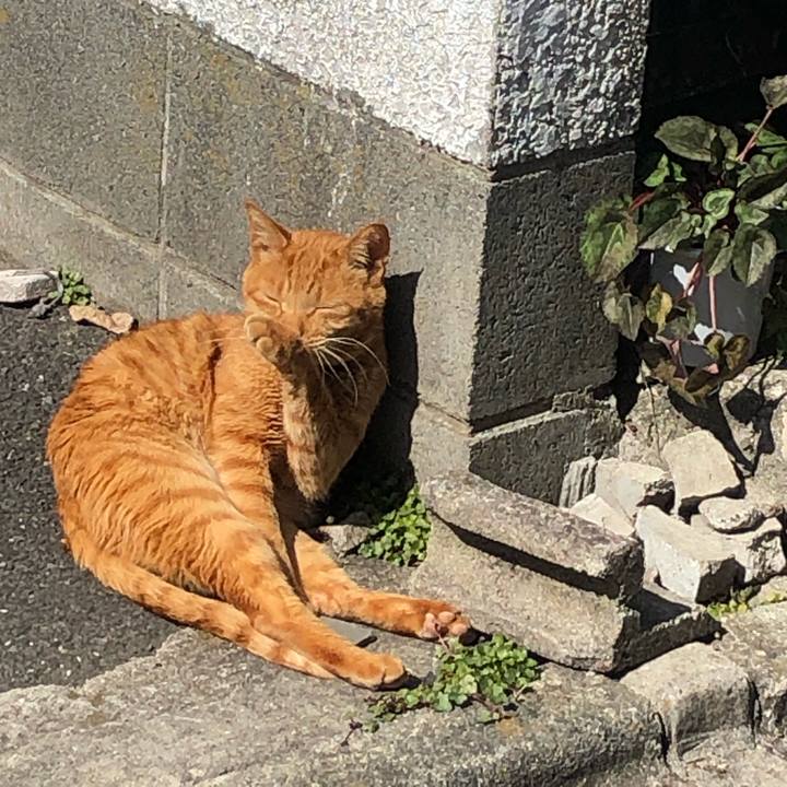 300fb0b7 3b51 4f43 a030 f7188ae1354d 1646726204329