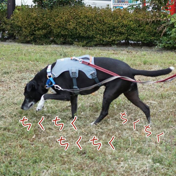 300fd2a0 008e 449d 89bb 848c79806e25 1760051924608