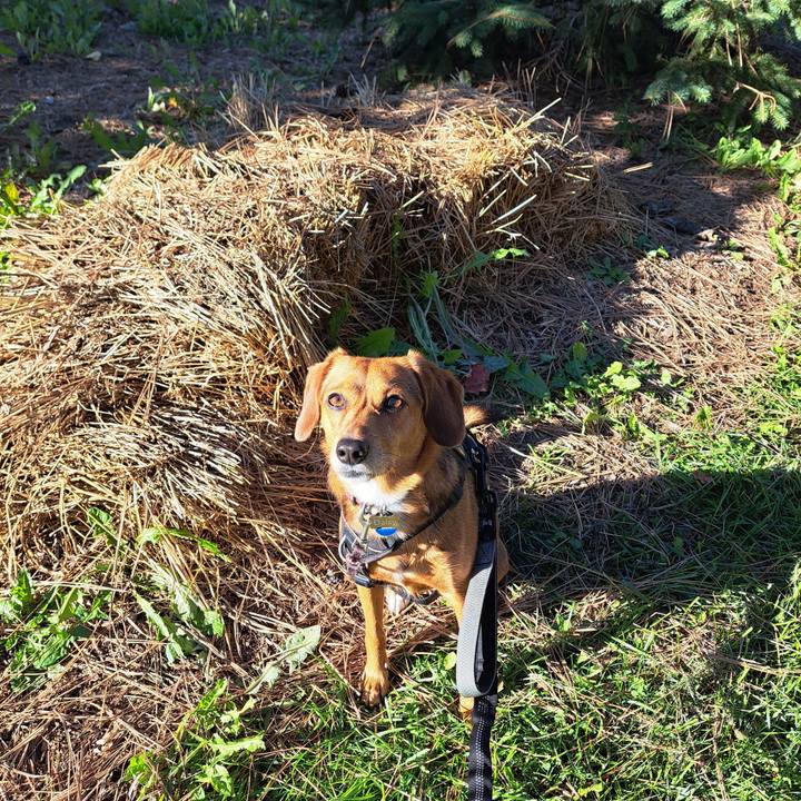 30104161 7726 47c3 ba2e a0e2d0183bb8 1760649253715