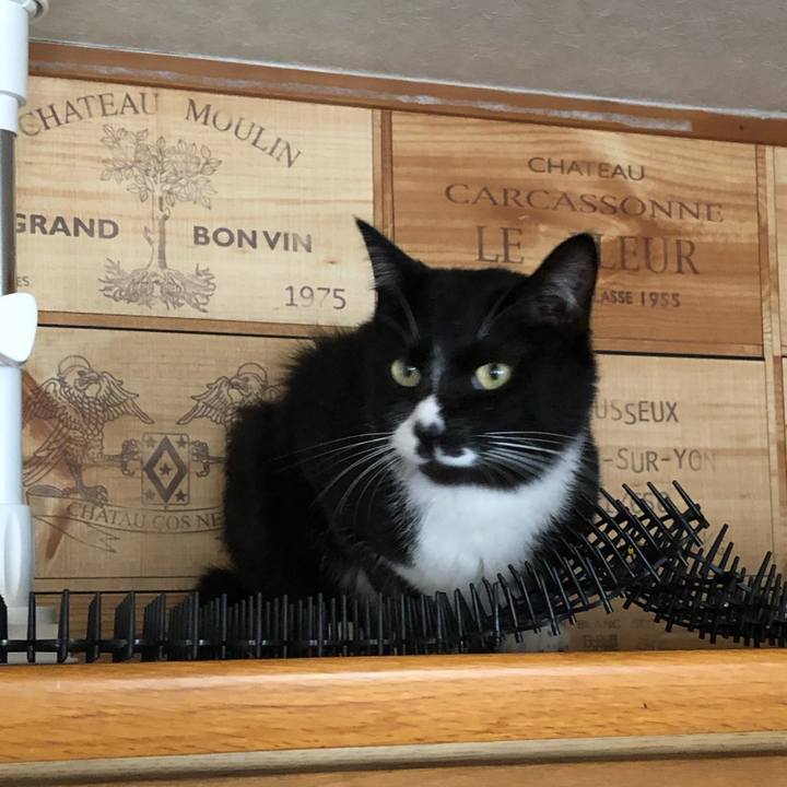 301054a5 b6a7 40ef 8a74 77269ccb0a61 1562125887697