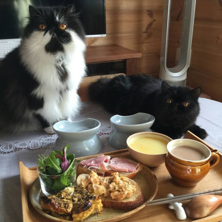 30106aa7 2ed5 493e 9225 2481421859de 1512261332323