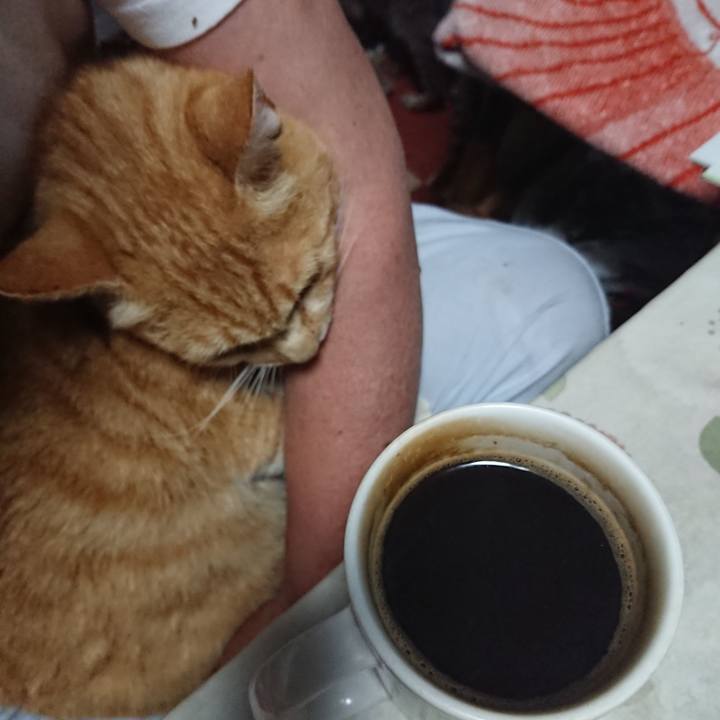 3010f251 4e17 4e16 abe9 8ed6e060fd37 1593113298137