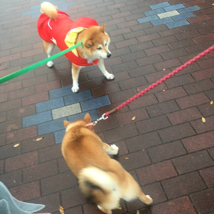 30111571 b7c5 4748 9331 e2b1770ebe20 1638926960354