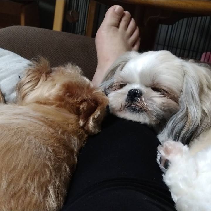 30115565 e693 442f 9275 5e5ee959a3f4 1623733990064