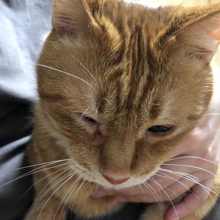 3011629b 9906 4597 8586 07adf9e1a357 1642974370127