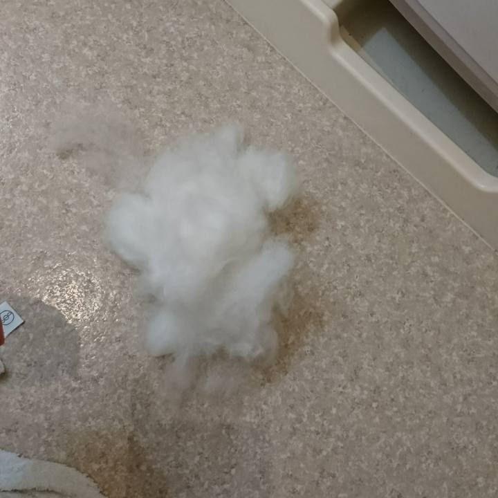 30117b3d a756 4950 9bdf fe83771e59c2 1520574616480