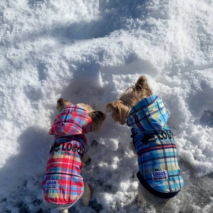 3011af70 85a2 41bd 82bc 3aa101034aa6 1638001356767