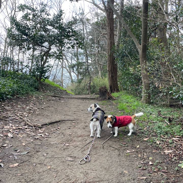 3011edab 71dc 4ab4 a5f5 4aa3e8785a54 1708737060615