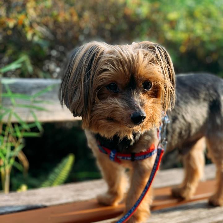 30126aa2 8108 4218 be77 d70f8c6b8189 1598050690525