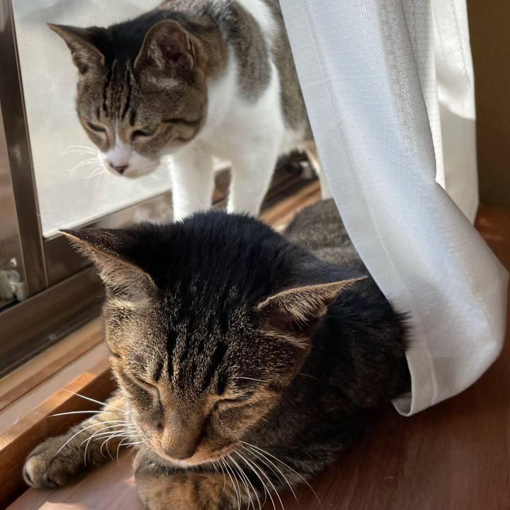 30127b77 fd6a 48b3 918c 8b46f30d5758 1613614138208