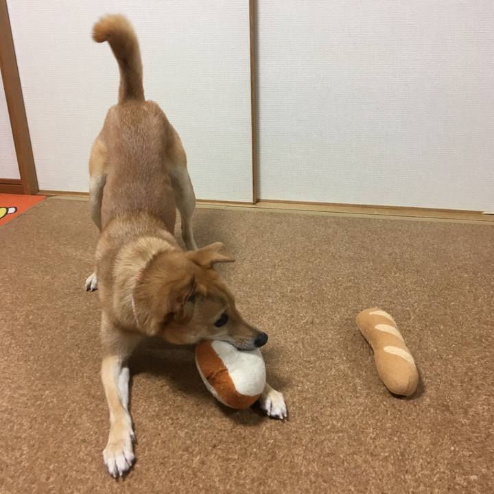 30128612 8092 4d6a bdcf a1944e61f5bd 1549412690413