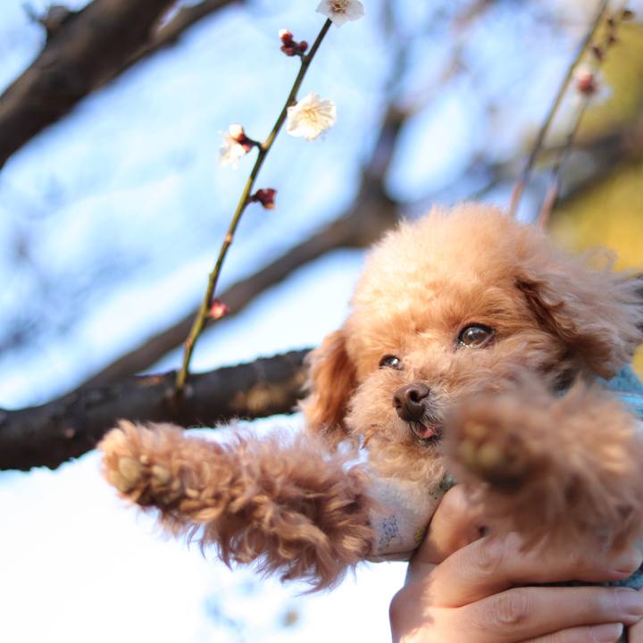 30129df8 e88a 4542 84d4 74b667a25f39 1665090927158