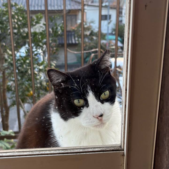 3012aae5 5823 45ce 91ff 758960d8a3af 1763109139479