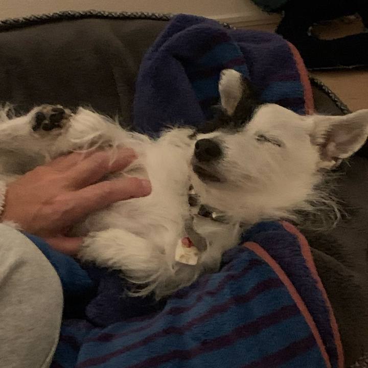 3012ea92 2837 468a a92d 23de7a1b3d65 1674310921248