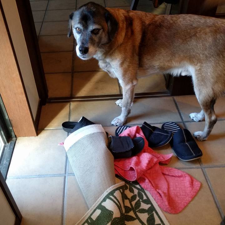 30130b2c 1986 4eb3 a60b a8b4728daaa3 1509520738643