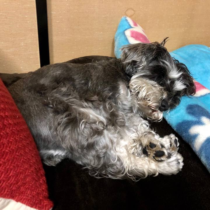 301317b0 d8e5 46dc 8510 b2339c2f6ec3 1543641711170