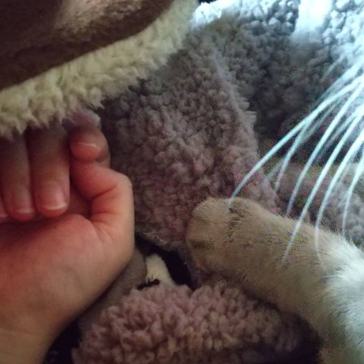 3013497f 70c9 43c6 ba80 7c78655c9ef3 1680646575695