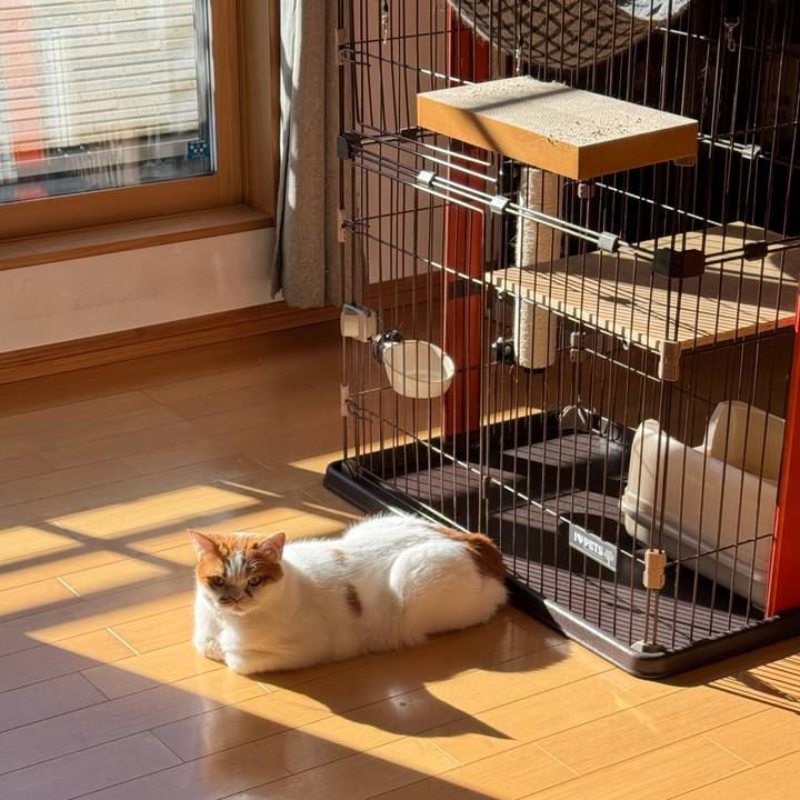 30138b87 a883 4aa8 af0b d3d220e5883a 1766890624526