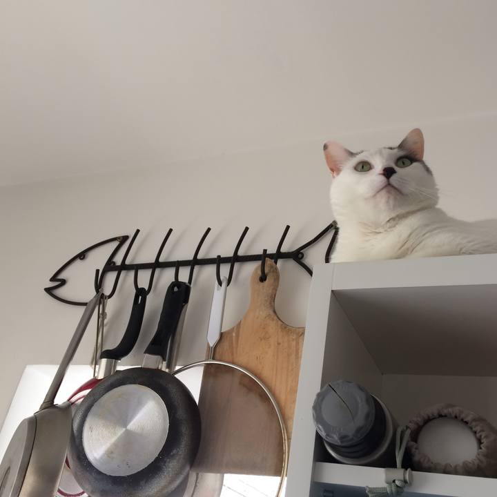 30138f69 e98d 40c4 8343 2d3c30e1ba81 1540053349035