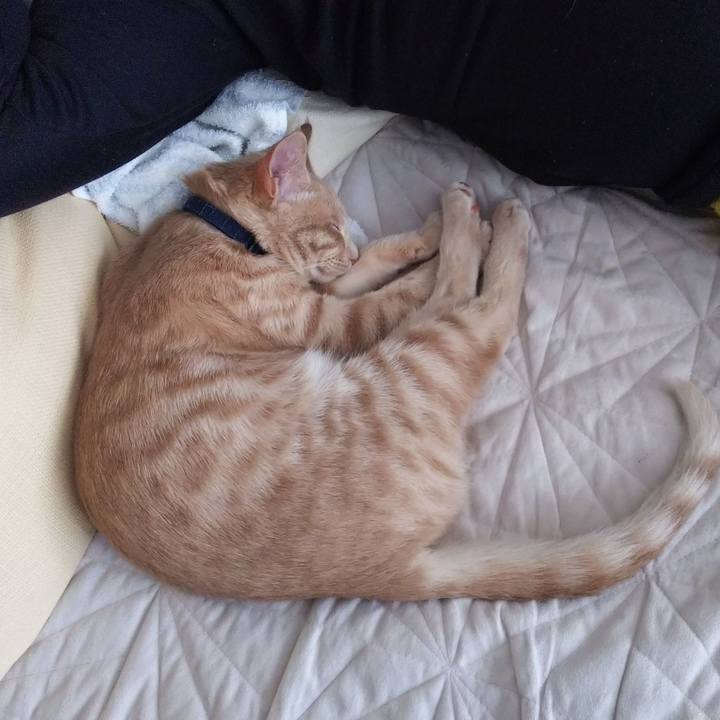 301396c6 69ea 47d6 ba61 7bd3f90edd16 1546234651202