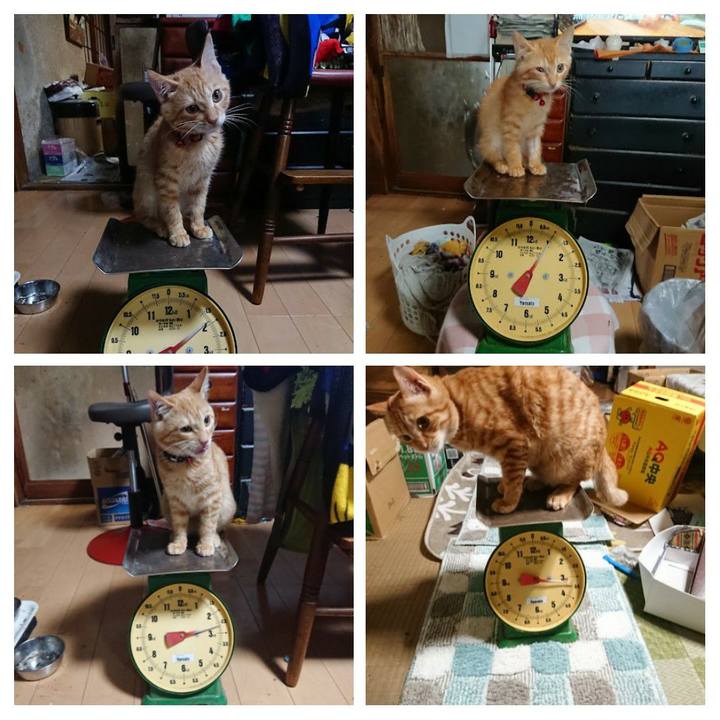 3013c8e5 6903 46a3 9a63 c5849db9e849 1637921500734