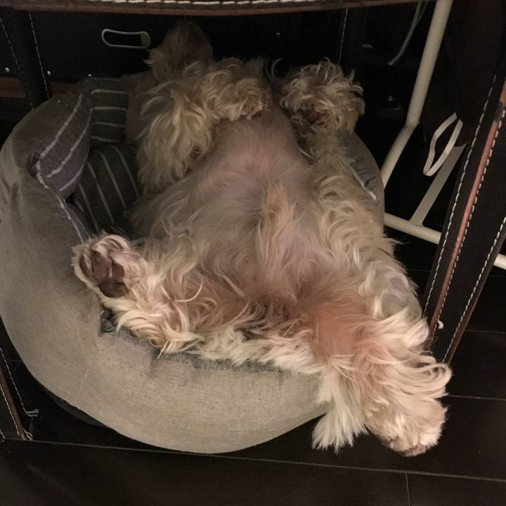 3013c9d8 f865 4db9 aecf d97a9cf40d6c 1513614836229