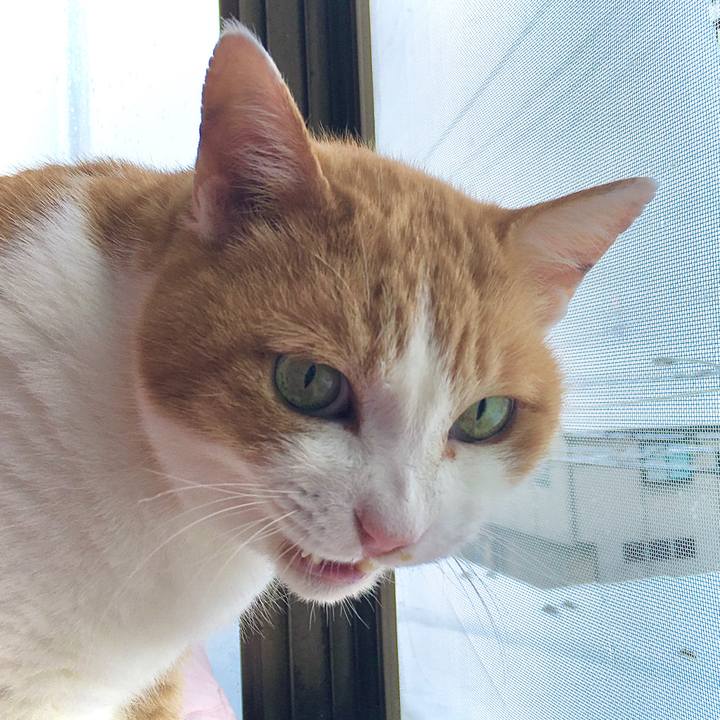 3014181a 5a50 432e 8003 ceecfe529ad7 1608016029811