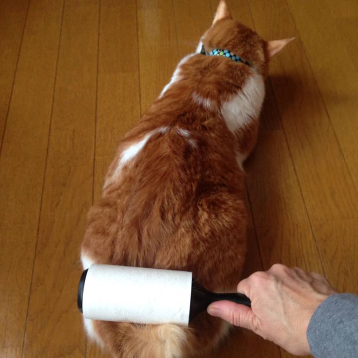 301422b2 0139 41f3 86d8 a96a4c43aeb1 1515282595563