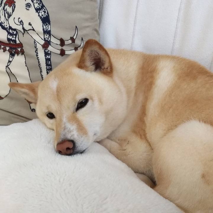 30143a5c d6cb 4f63 8642 2e9c9d43bab0 1590638325122