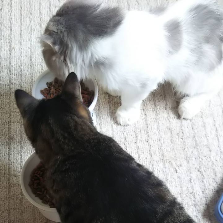 30146b76 8b26 4f59 aae3 4a1c964b4fb8 1625564996739