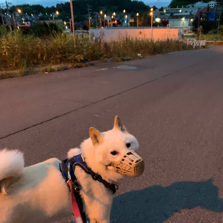 3014bb2c 4574 45c2 939a 4fd131fcaba4 1628452528268