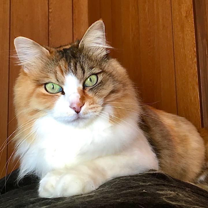 3014e621 8ab3 4da0 ac25 515534d243c6 1584690628330