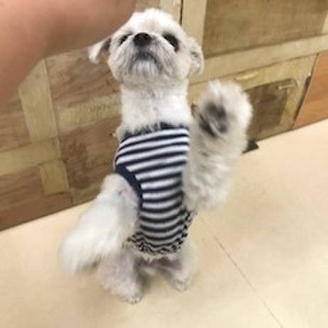 30150110 a3da 40d6 8581 c590e2d7320c 1509622395030