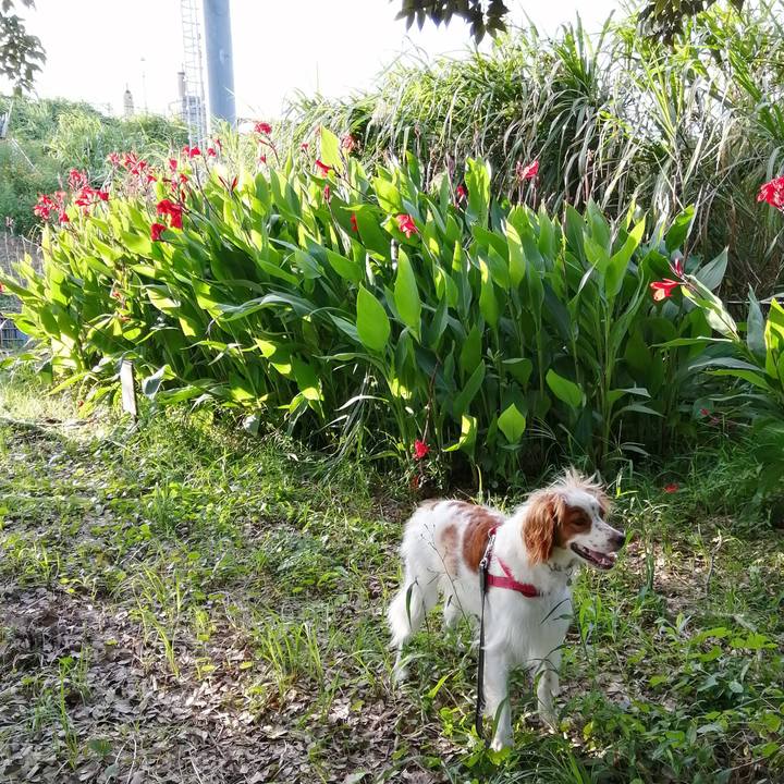 30150182 b86f 4389 ae91 6fb32cba18b5 1568721724408