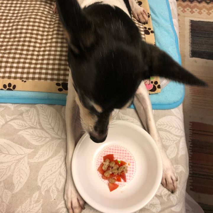 301512d1 b0e4 40c8 8470 ac667d638a3a 1531258645092