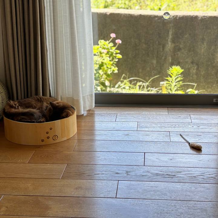 301518ba c73c 458a 829c 6839a778ef4b 1753666473344