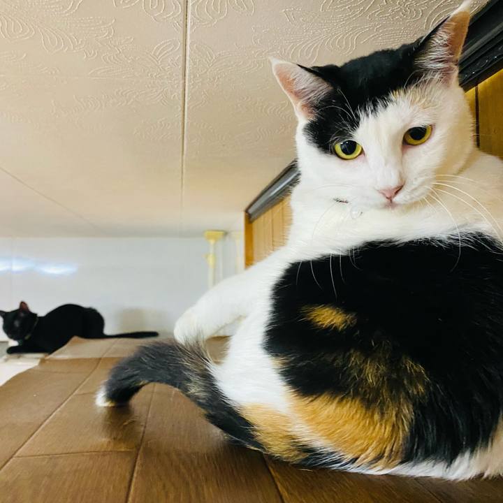 301531a3 b571 468b aba4 029ea7587319 1661777982037