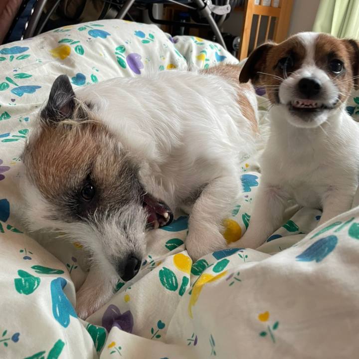 30155d57 1992 46b7 91d5 4ef4f9c8ac62 1616315734708