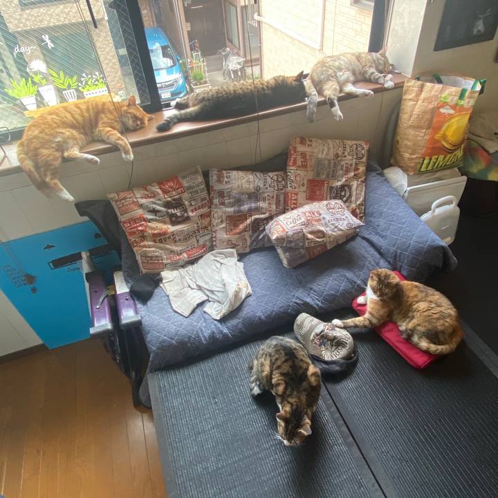 30159904 d970 4cd2 86fa 15d151df6e99 1588655813649